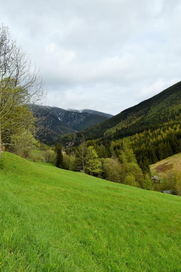 Luxury Adelka Apartment Spindleruv Mlyn